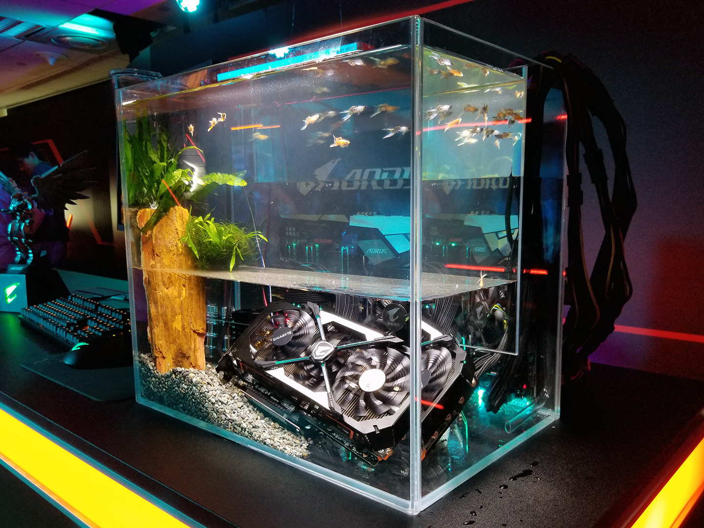 fishtank.jpg
